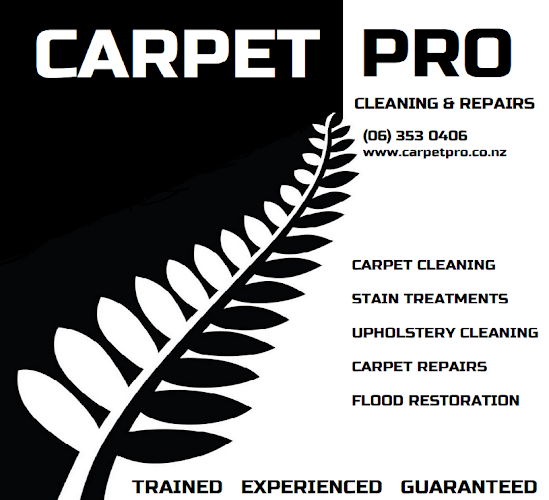Carpet Pro Cleaning & Repairs - Laundry service
