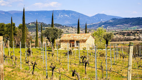 Aureto Vignobles à Goult