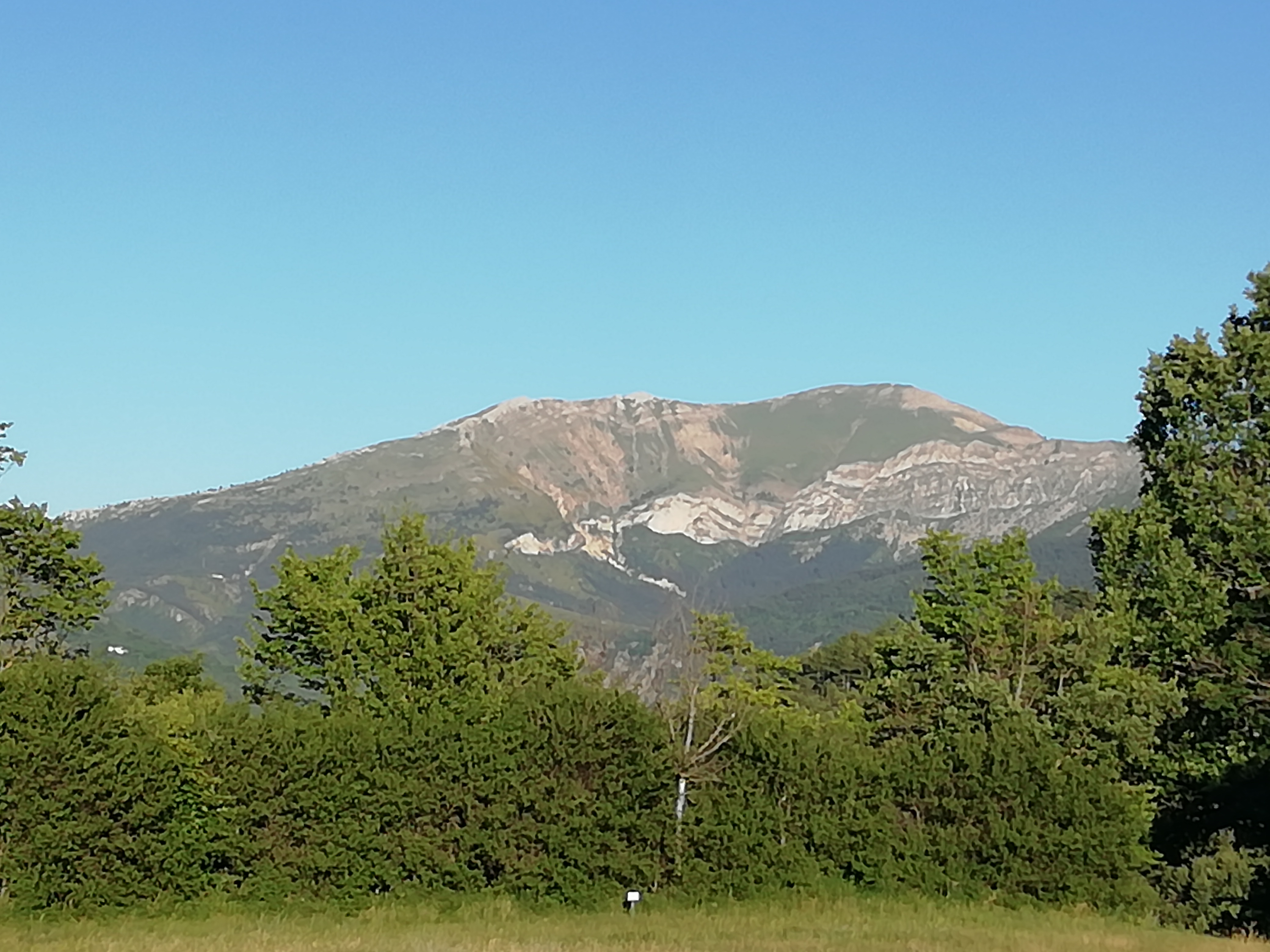 Photo n° 2 de l'avis de rosso.e fait le 13/06/2022 à 17:56