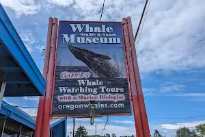 Whale Research EcoExcursions, LLC image