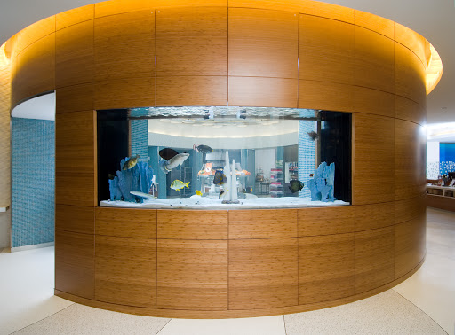 Tropical Fish Store «House of Fins», reviews and photos, 99 Bruce Park Ave, Greenwich, CT 06830, USA