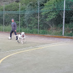 Photo n°1 de l'avis de Anna.a fait le 14/05/2021 à 08:17 sur le  Centro Sportivo La Rosa à Pozzarello