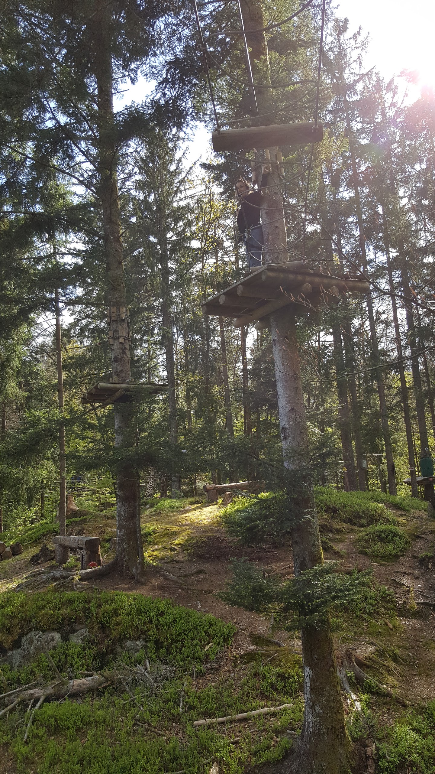 Photo n° 1 de l'avis de 0o_Tigrou_o0.T fait le 12/07/2017 à 12:37