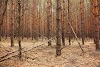 Shelukhovskiy Gosudarstvennyy Prirodnyy Zakaznik Logo, Russia, Park