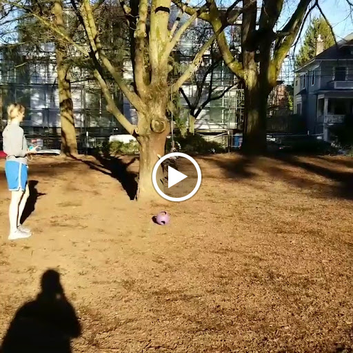 Park «Wallace City Park», reviews and photos, 1600 NW 25th Ave, Portland, OR 97210, USA