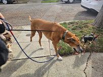 The Farmers Pet Care - Photo 4 - Car repair in , San Francisco