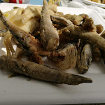 Photo n°1 de l'avis de Andy.u fait le 16/09/2018 à 11:28 sur le  L'Ostriconda à Livorno