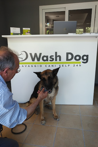 Pensioni per cani e dog hotel a Wash Dog Cervia Lavaggio Cani Toelettatura e servizio a domicilio