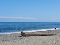 Foto di Ship Creek Beach zona selvaggia