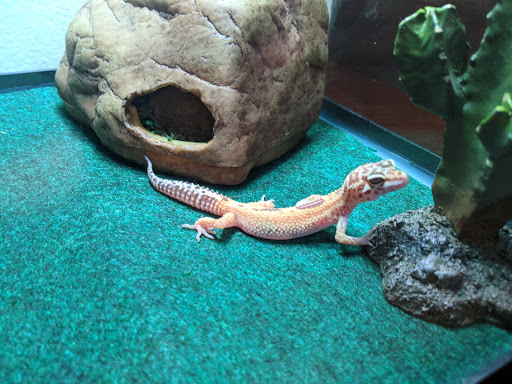 Pet Store «The Pet Works», reviews and photos, 407 4th Ave E, Olympia, WA 98501, USA