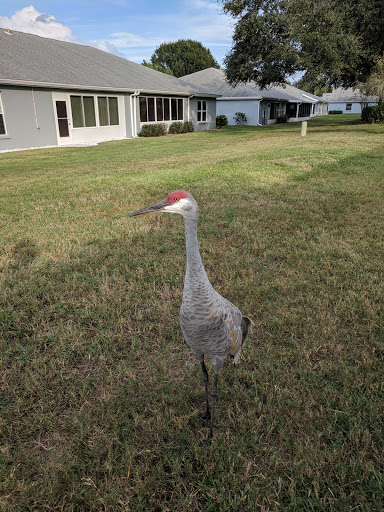 Golf Club «Scepter Golf Club reservations», reviews and photos, 1226 Newpoint Loop, Sun City Center, FL 33573, USA