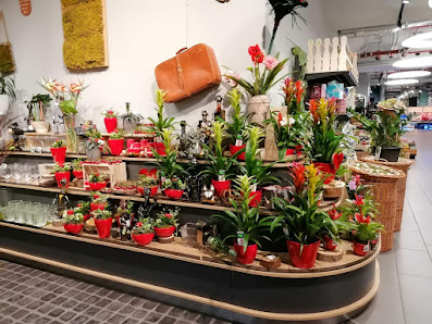 BlumenLiebe Lauf Hersbrucker Str. 62, 91207 Lauf an der Pegnitz, Deutschland