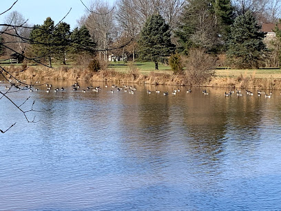 Hillsborough Duck Pond