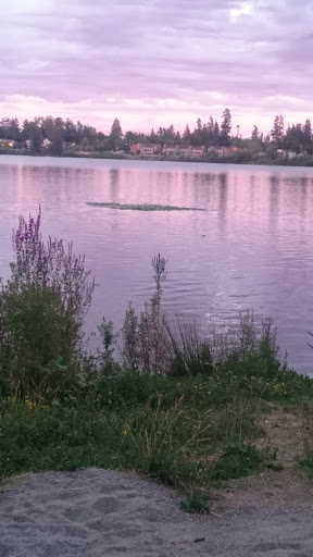 Park «Thornton A. Sullivan Park», reviews and photos, 11405 Silver Lake Rd, Everett, WA 98208, USA