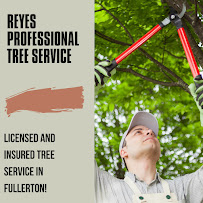 Reyes Professional Tree Service & Landscaping Designs - Photo 2 - Car repair in , Long Beach