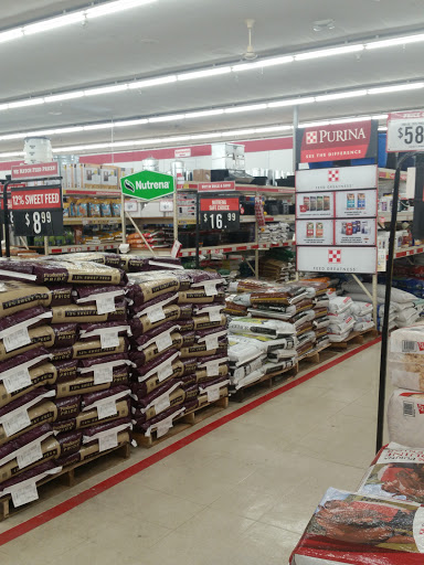 Home Improvement Store «Tractor Supply Co.», reviews and photos, 35874 US-27, Haines City, FL 33844, USA