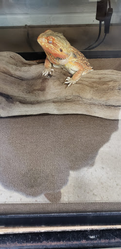 Pet Supply Store «Pet Den», reviews and photos, 1209 Nederland Ave, Nederland, TX 77627, USA