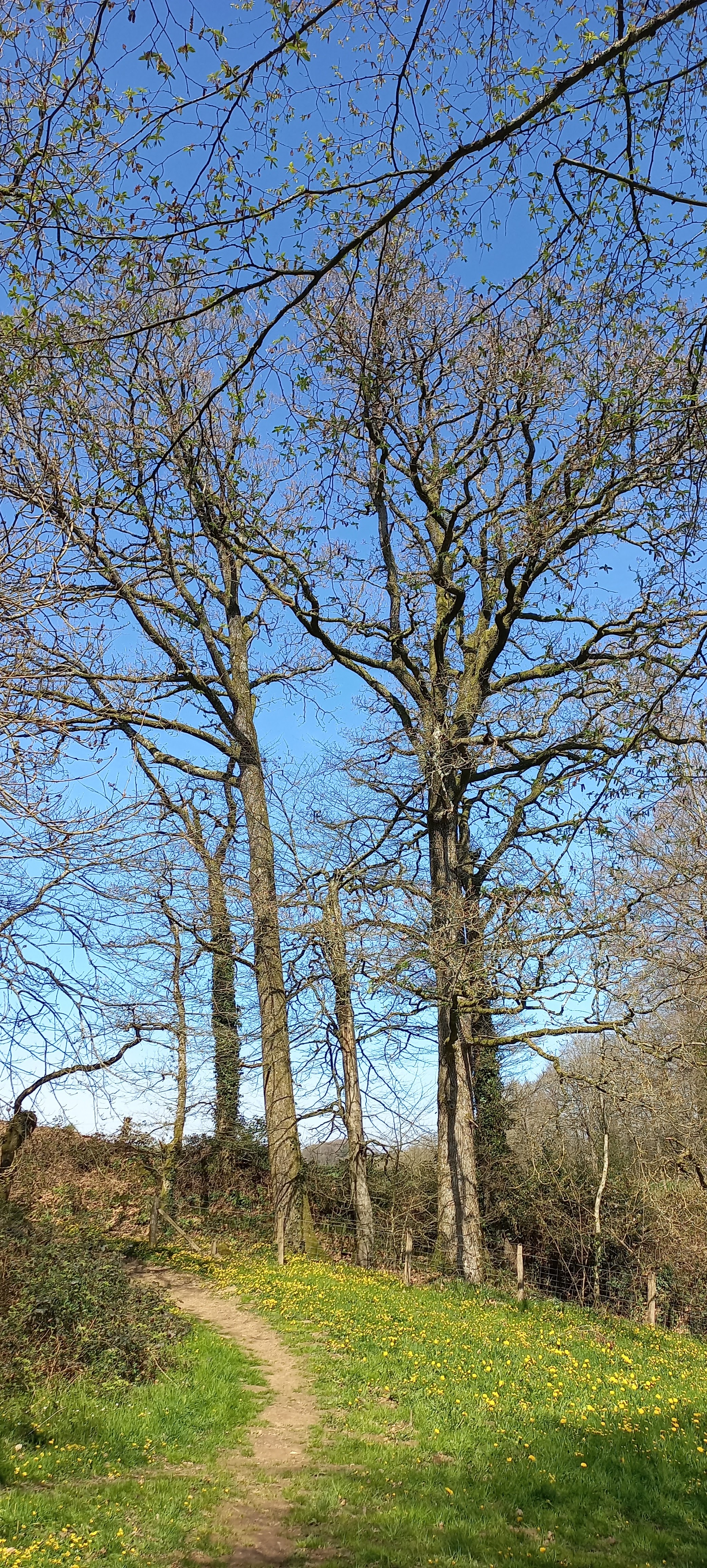 Photo n° 21 de l'avis de Françoise.o fait le 16/04/2023 à 15:18