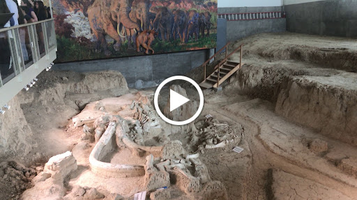 National Park «Waco Mammoth National Monument», reviews and photos, 6220 Steinbeck Bend Dr, Waco, TX 76708, USA