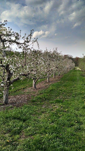 Cider Mill «Bad Seed Cider Co», reviews and photos, 43 Baileys Gap Rd, Highland, NY 12528, USA