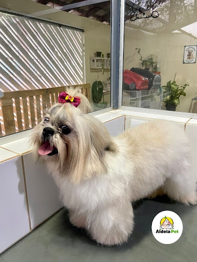 Logo da empresa - ALDEIA PET