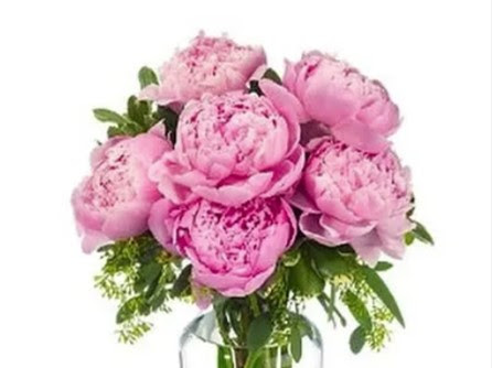 Florist «Edgewood Flowers», reviews and photos, 4927 S Orange Ave, Orlando, FL 32806, USA