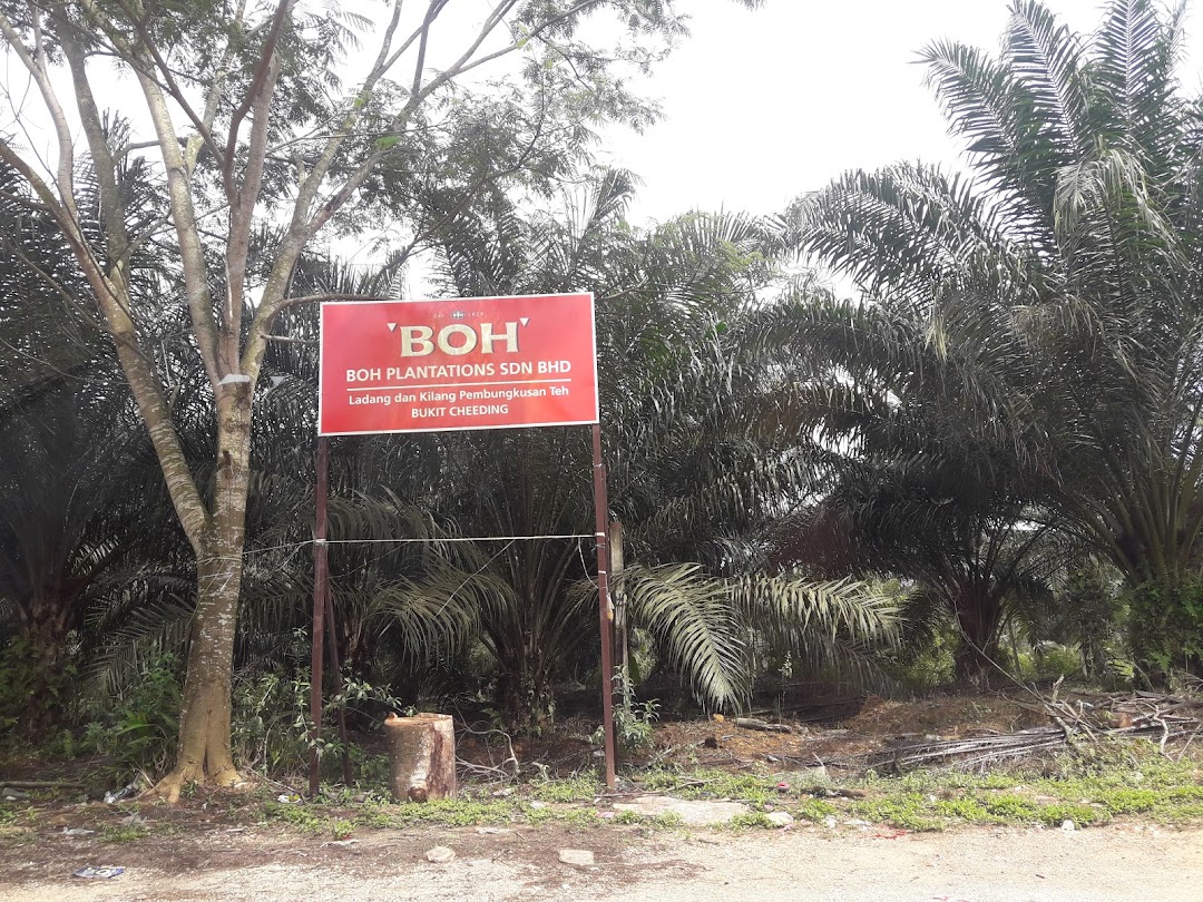 Boh Plantations Sdn. Bhd.