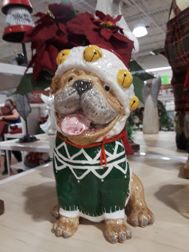 Department Store «Bealls Florida», reviews and photos, 925 E Bloomingdale Ave, Brandon, FL 33511, USA