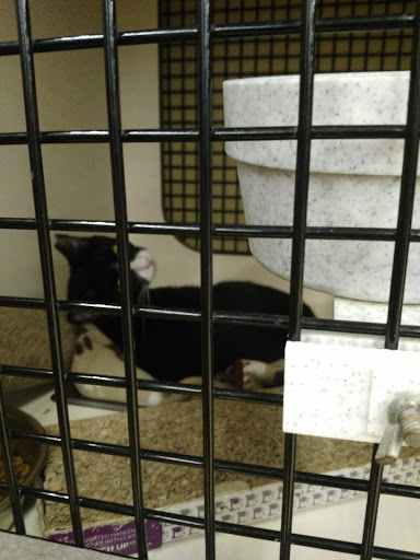 Pet Supply Store «Petco Animal Supplies», reviews and photos, 1670 Airport Blvd #700, Pensacola, FL 32504, USA