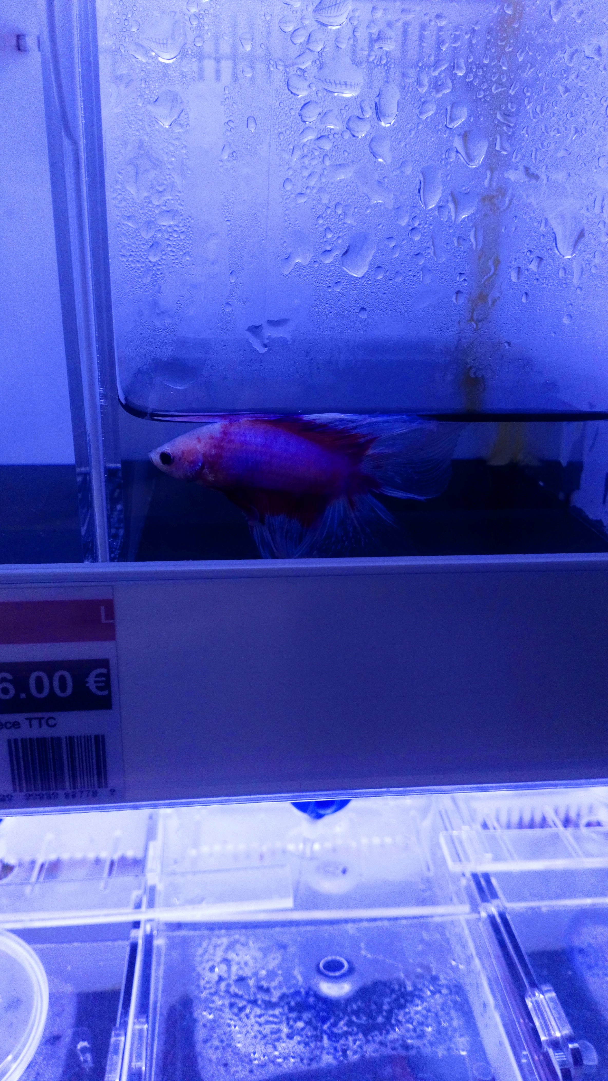 Photo n° 2 de l'avis de Emmie.e fait le 29/09/2018 à 12:30