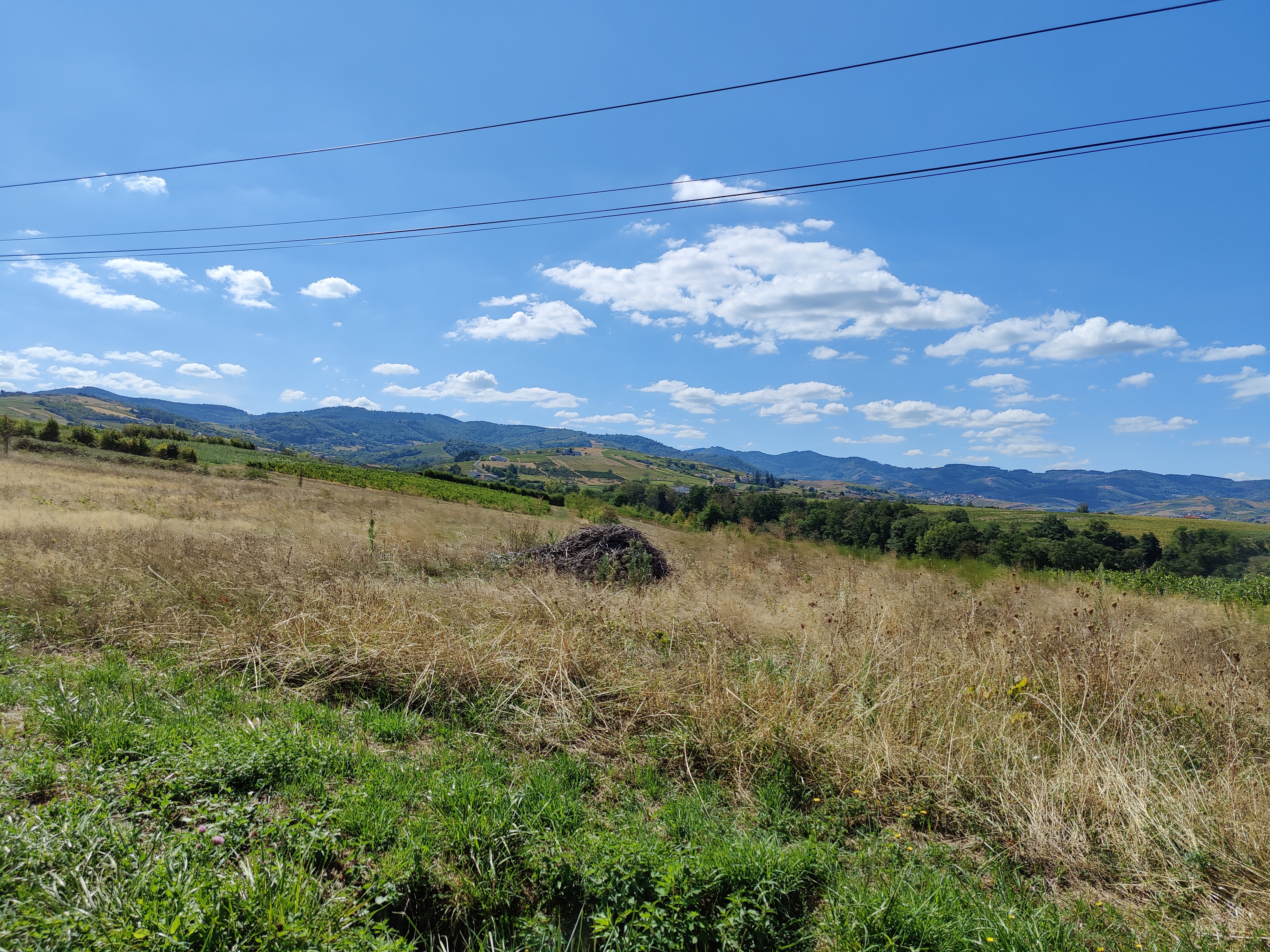 Photo n° 5 de l'avis de jos.a fait le 01/09/2020 à 15:54
