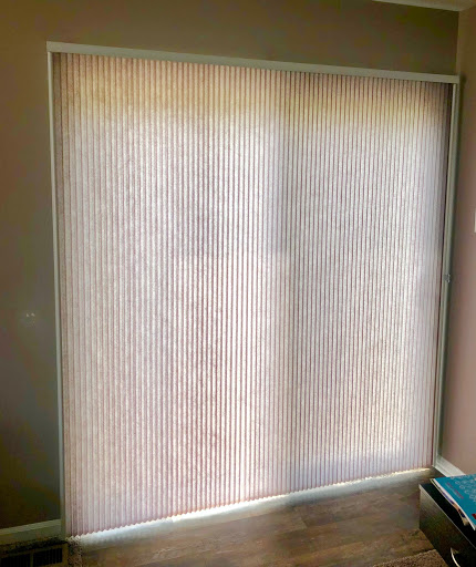 Blinds In Motion