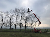 Koala tree service - Photo 2 - Car repair in Cutler, CA, Visalia