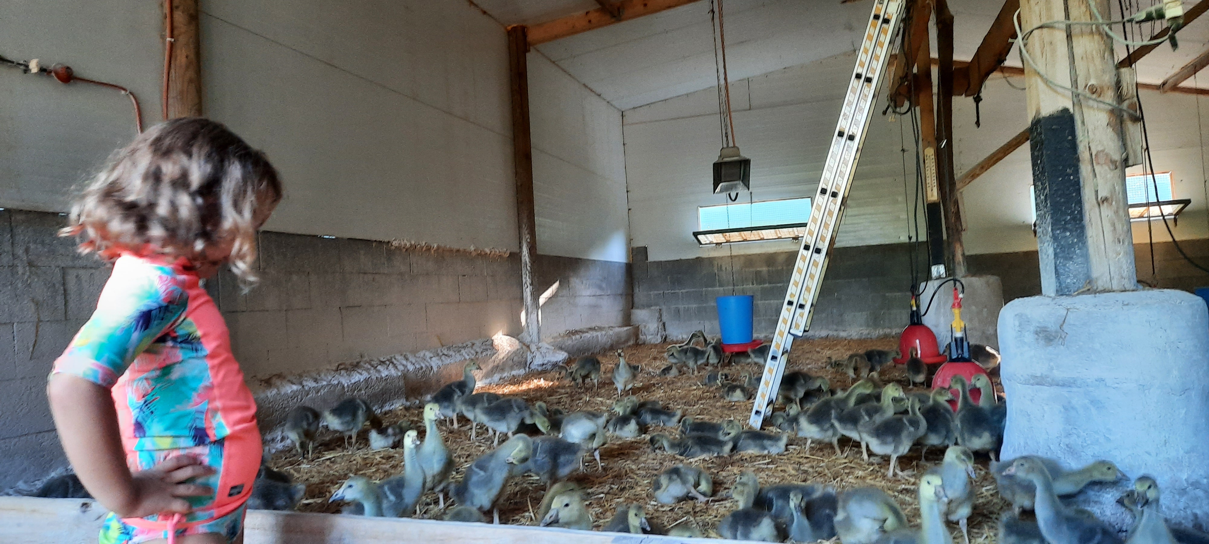 Photo n° 1 de l'avis de Nicolas.r fait le 15/08/2020 à 13:07
