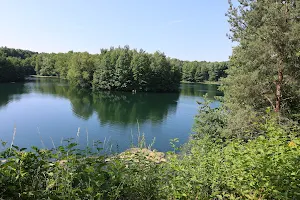 Vogelsberger See bei Dietesheim image