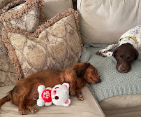 Barkington Inn - Photo 9 - Car repair in Mesquite, TX, Mesquite