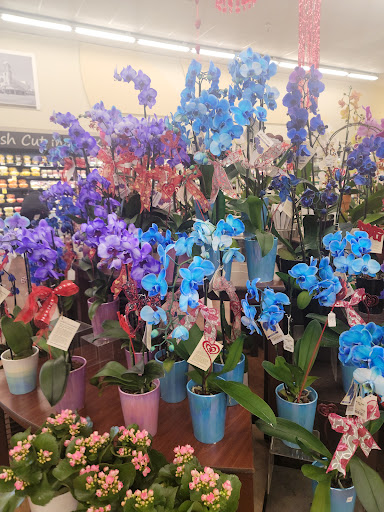 Grocery Store «Albertsons», reviews and photos, 13045 Rosedale Hwy, Bakersfield, CA 93312, USA