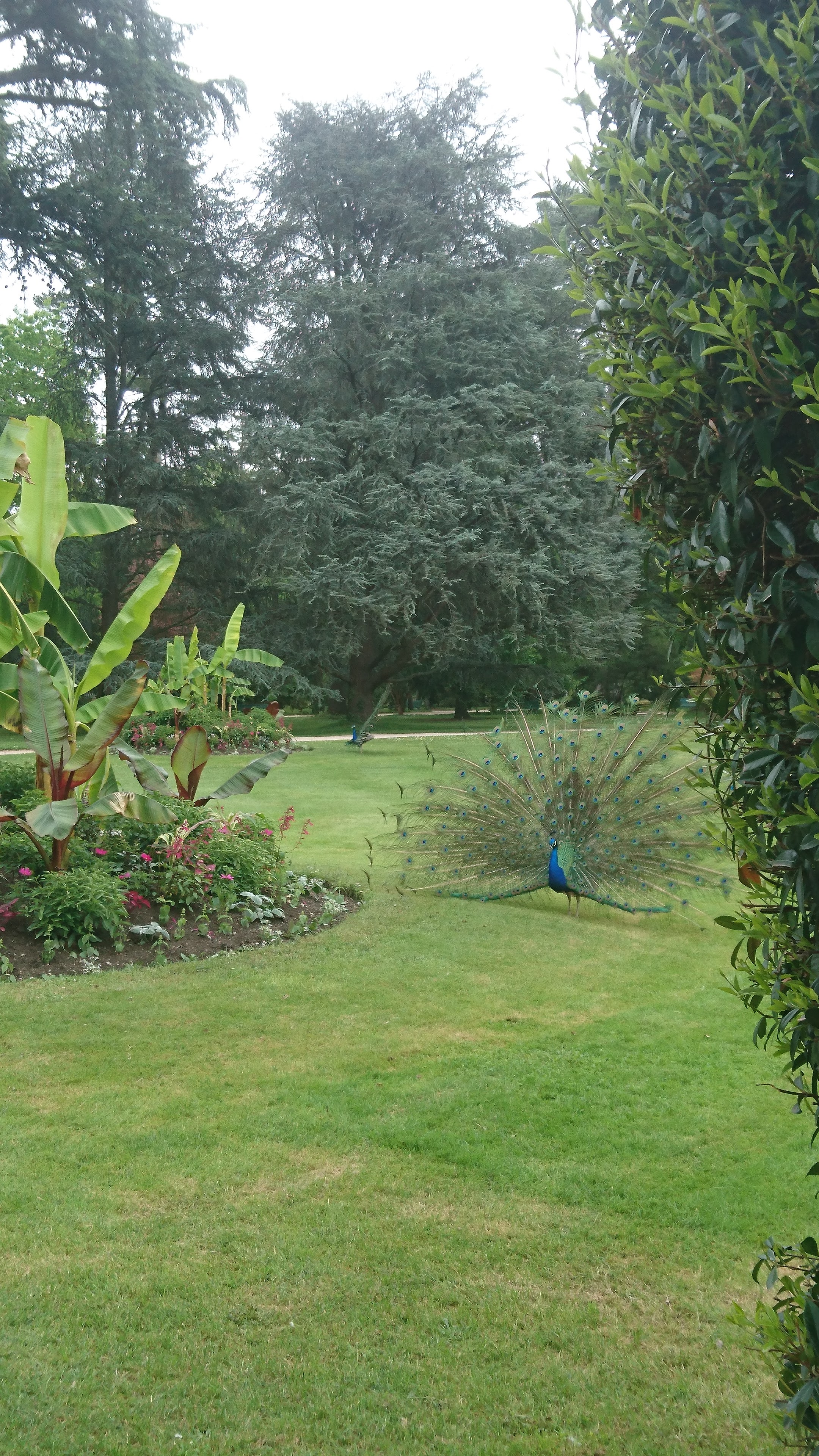 Photo n° 1 de l'avis de Coralie.I fait le 12/05/2018 à 10:11