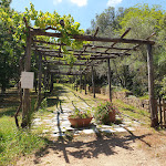 Photo n°4 de l'avis de Andrea.i fait le 03/07/2020 à 21:31 sur le  L'Agnata di De André à Tempio Pausania