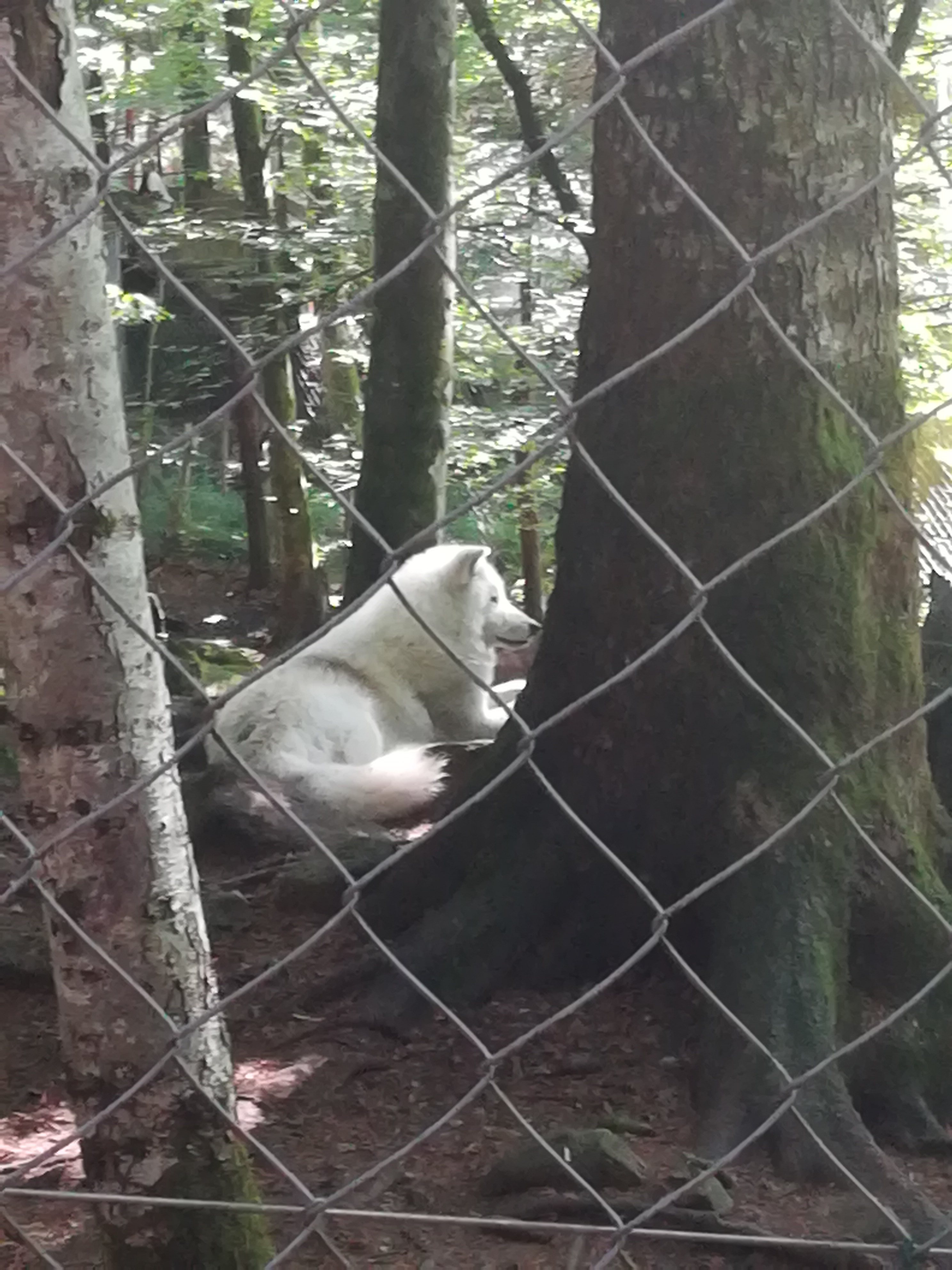 Photo n° 14 de l'avis de Audrey.� fait le 28/07/2017 à 17:11