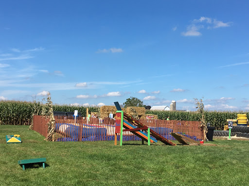 Tourist Attraction «Oregon Dairy Corn Maze», reviews and photos, 1289 Creek Rd, Lititz, PA 17543, USA