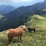 Photo n° 2 de l'avis de Christophe.u fait le 15/08/2017 à 09:30 pour Auberge du Charmant Som à Saint-Pierre-de-Chartreuse