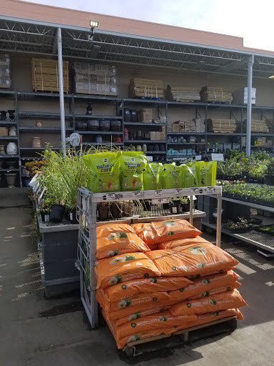 Stores to buy indoor plants Honolulu