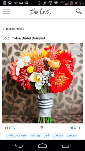 Florist «House of Plants Florist Inc», reviews and photos, 1670 Merriman Rd, Akron, OH 44313, USA