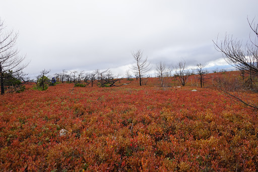 State Park «Goosepond Mountain State Park», reviews and photos, 1198 New York 17M, Chester, NY 10918, USA