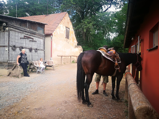 Jízda na koni poblíž Praha