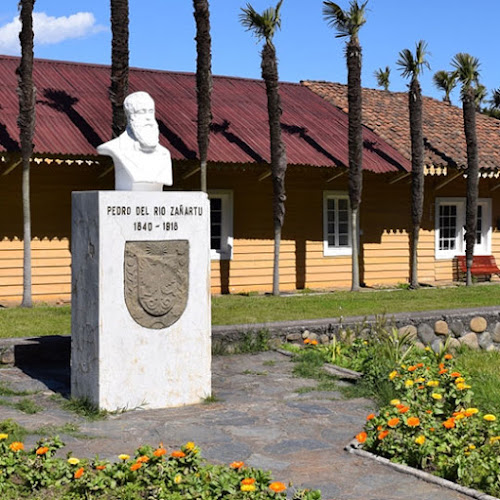 Opiniones de Parque Museo Pedro del Río Zañartu en Hualpén - Museo