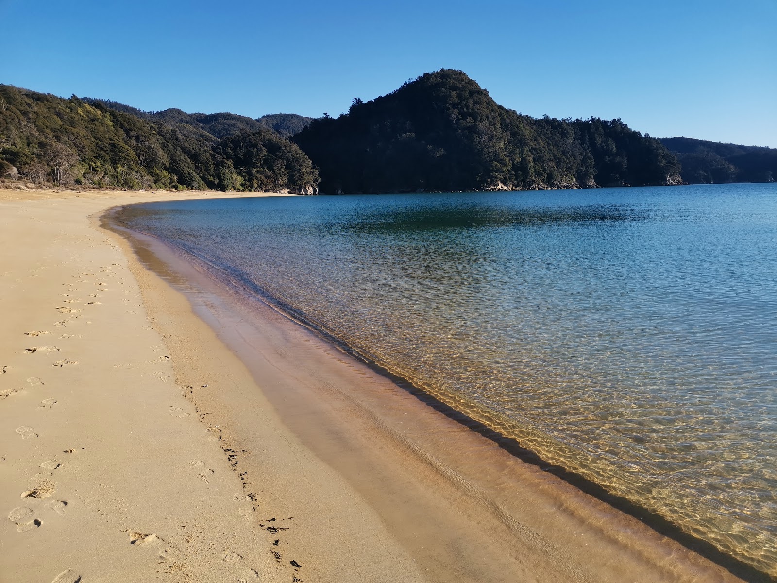 Zdjęcie Anchorage Bay Abel Tasman z poziomem czystości wysoki