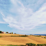 Photo n°2 de l'avis de Emanuela.o fait le 23/07/2023 à 19:10 sur le  La Baracchina à Orciano Pisano