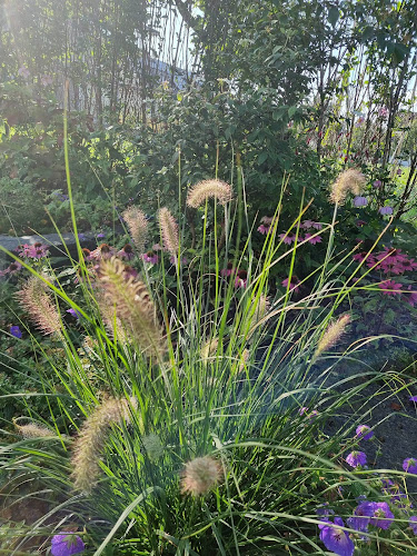 Ulrich Briggen Gartenservice AG - Gartenbauer